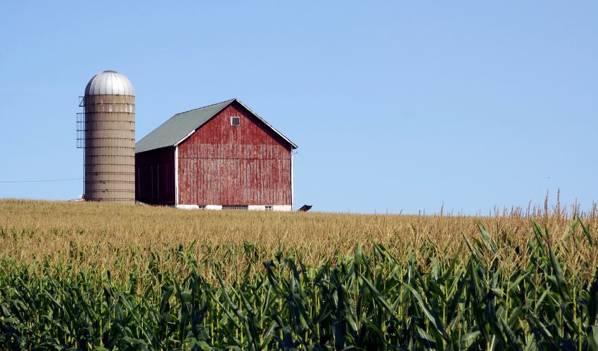 The Ultimate Guide to the Benefits of Crop Rotation: Improving Soil Health and Increasing Yields